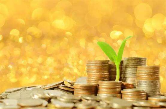 新加坡家族辦公室設(shè)立步驟