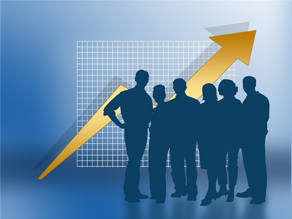 澳門(mén)公司的類(lèi)型