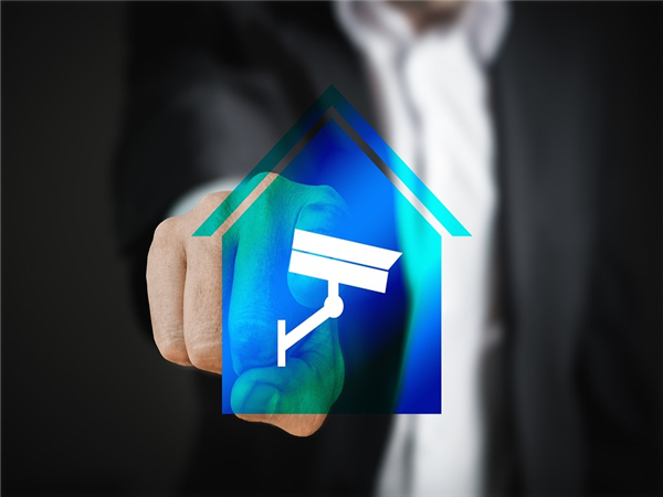 美國常見的兩種公司類型