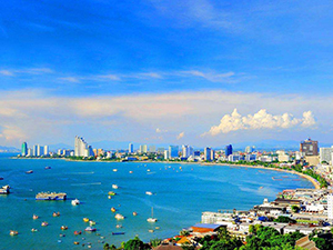 董事、高級管理人員和代表