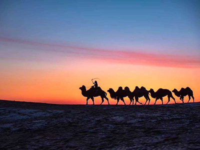 印度公司注冊具體流程：