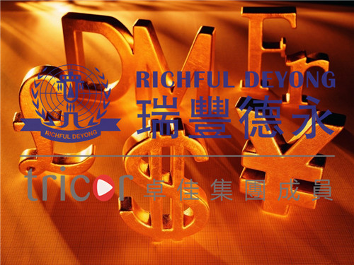 法國公司的優勢