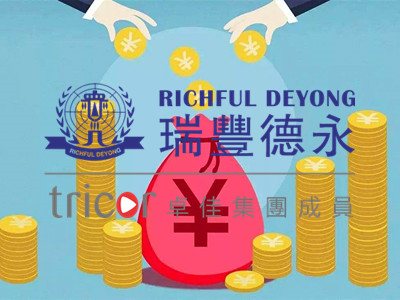 納閩公司的稅收類型